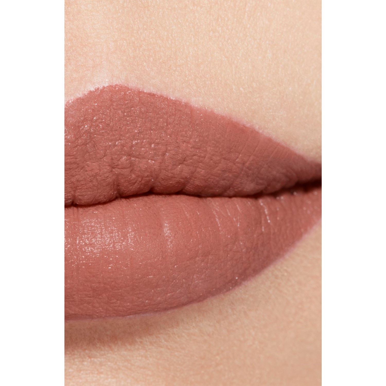 LA BARRA DE LABIOS ATERCIOPELADA LUMINOSA